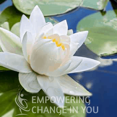 holistic web design for Empowering Change in You