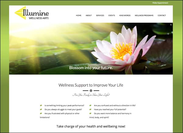 web design for Illumine Wellness Arts