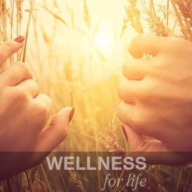 health and wellness website design for Wellness With Elsie