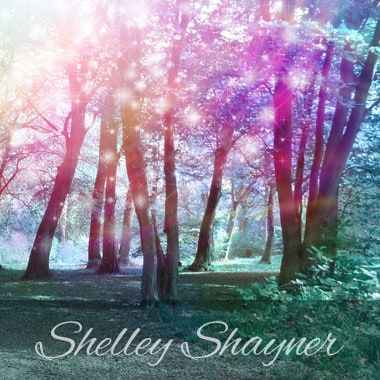 web design for author Shelley Shayner